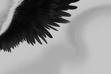 Dual Wide Angel Wallpapers HD, Desktop Backgrounds 3840x1200