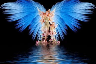 Miscellaneous: Angel Wings, Desktop Wallpapers Nr. 62475 By Maf04