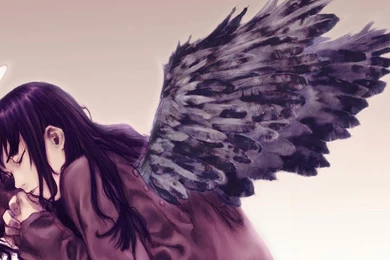 Angel Wings Fantasy Artwork Hd Wallpapers   (