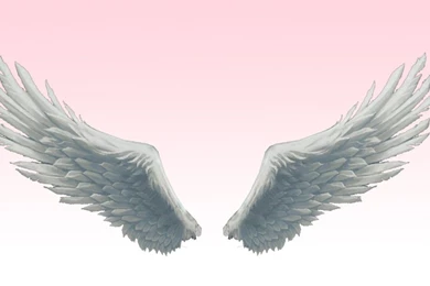 MMD Absolute BEST Angel Wings By Amiamy111 On DeviantArt