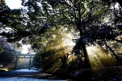 Japan Wallpapers Hd Wallpapers   155045