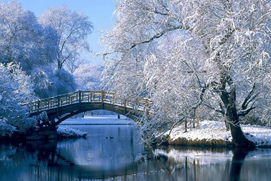 Sakura Japan Full HD Wallpapers