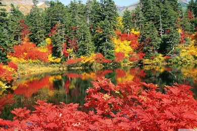Autumn, Japan HD Desktop Wallpapers : Widescreen : High Definition ...