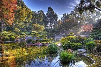 8 Japanese Garden HD Wallpapers