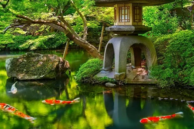 HD Quality Japanese Wallpapers   SiWallpapers Tag: 1