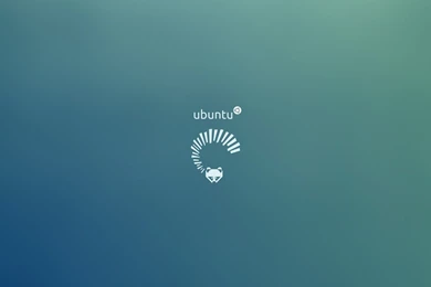 Ubuntu 13 04 Raring Ringtail Wallpaper.jpg