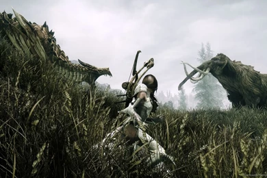 Download 1366x768 Skyrim Violent Species Wallpapers