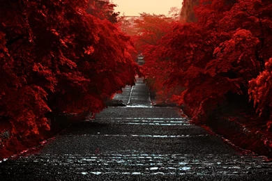 iPad 4. Gen.] Der Apple iPad 4 Wallpapers Thread