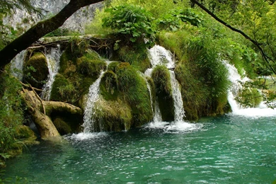 Download Wallpapers 2048x2048 River, Trees, Nature New iPad Air, 4 ...