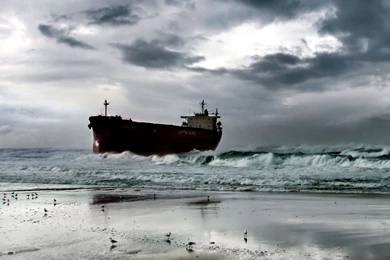 Download Wallpapers 2048x2048 Sea Gulls, Beach, Sand New iPad Air ...