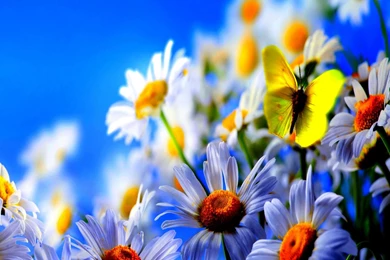 iPad Retina Wallpapers HD   Retina Ready, Stunning Wallpapers