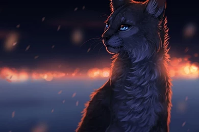 New ipad wallpaper hd 2048×2048 2123