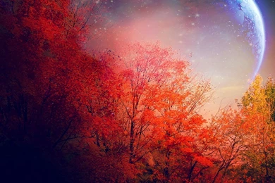 New ipad wallpaper hd 2048×2048 1818