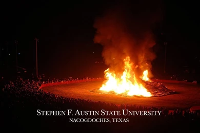 Give To SFA   Wallpapers