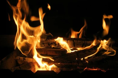 Fire Flame Bonfire Firewood Coal Tree Black Backgrounds Texture ...
