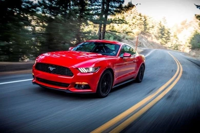 Red Mustang On The Road HD Wallpapers