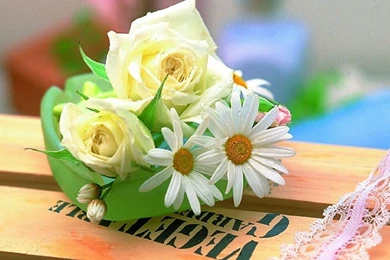 Free Wallpapers   Free Flower Wallpapers   Valentine Rose Wallpapers ...