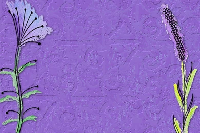 Top Lavender Background Images For Pinterest