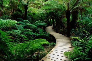 1366x768 Green Nature Desktop PC And Mac Wallpapers