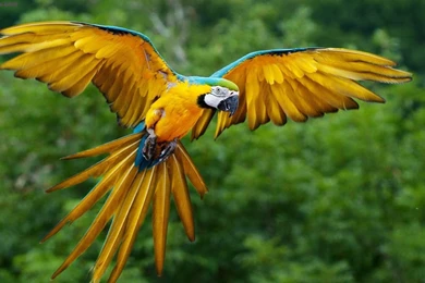 Great World Wallpaper: Wallpapers For Desktop Hd Quality Free