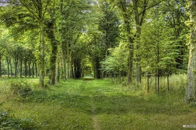 Free Wallpapers   Free Nature Wallpapers   PS Landscape 2 Wallpapers ...