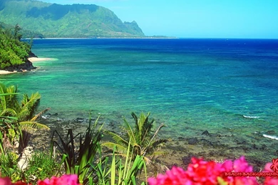 Nature Wallpapers 1366X768   1773875