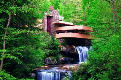 Download Wallpapers 1366x768 Nature, Spring, Forest, Trees ...