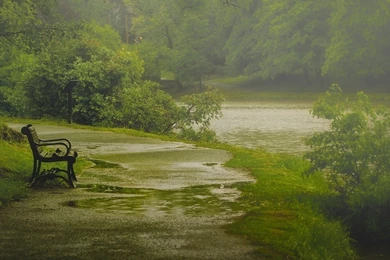 1366x768 Nature Rain Park Bench Wallpapers