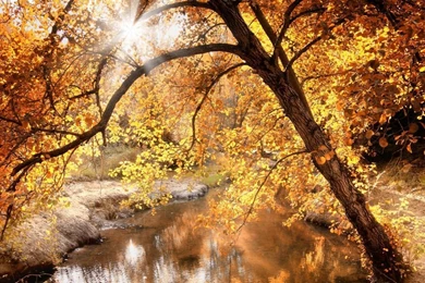 1366x768 Nature Autumn Wallpapers