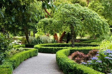 Download Wallpapers 1366x768 Park, New Zealand, Landscape ...