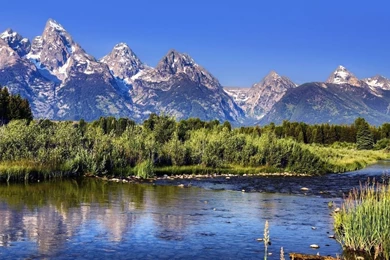 Green Nature In Grand Teton National Park Wallpapers   Nature ...