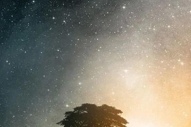 Phone Wallpapers On Pinterest