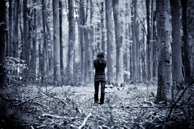 Download Wallpapers Lonely Girl In The Woods (1680 X 1050 ...