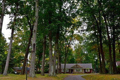 Houses: House Woods Forest Scenic Pretty Beautiful Home CSH Free ...