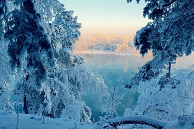 Nature Lakes Trees Forest Sunlight Sunrise Reflection Water Winter ...