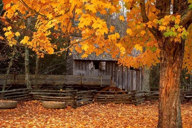 Cabin Desktop Wallpapers