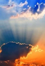 Free Mobile Wallpapers