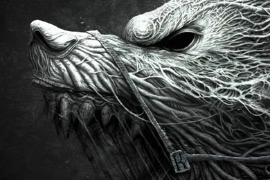 Android HTC Sensation 540x960 Wolf Wallpapers HD, Desktop ...