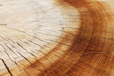 Wood Wallpapers Cracked   Wallpapers