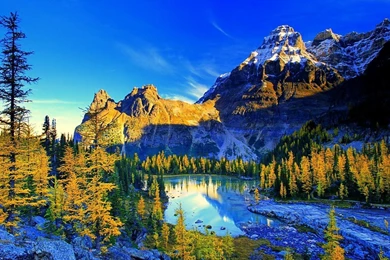 4K 2015 Wallpapers Ultra HD