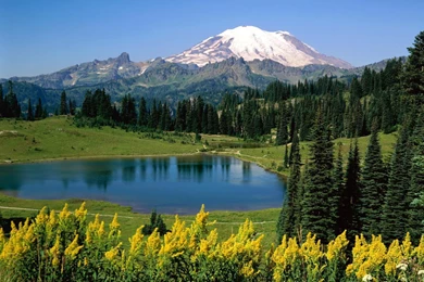 4K Wallpapers Nature   Desktop Backgrounds