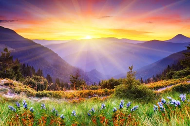 Nature 4k Ultra HD Wallpapers   4k Wallpaper.Net