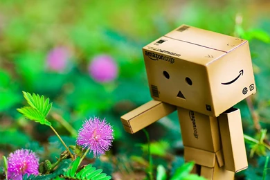 Download Wallpapers 3840x2160 Danboard, Flowers, Walk, Nature 4K ...
