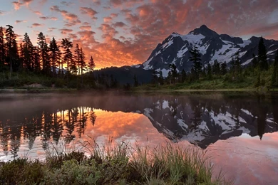 Nature Wallpaper 105.jpg