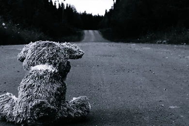 Sad Teddy Bear Computer Wallpapers, Desktop Backgrounds ...