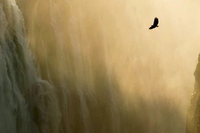 1920x1080 Mac OS X Eagle Waterfall Desktop PC And Mac Wallpapers