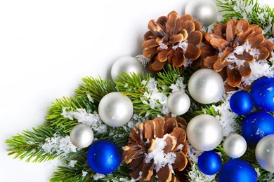 Download 1600x900 Pine Tree Branch With Blue And Silver Pearls ...