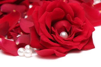 Full HD 1080p Pearls Wallpapers HD, Desktop Backgrounds 1920x1080