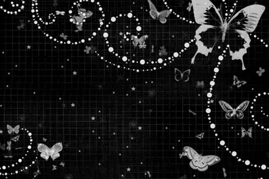 Butterflies And Pearls   Butterflies Wallpapers (7550770)   Fanpop