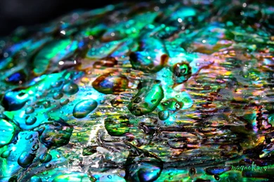 Mother Of Pearl Wallpapers By FallOut99 On DeviantArt